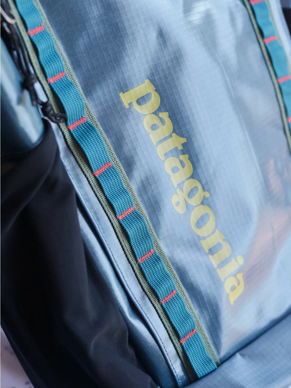 NWT Patagonia Black Hole Pack 32L